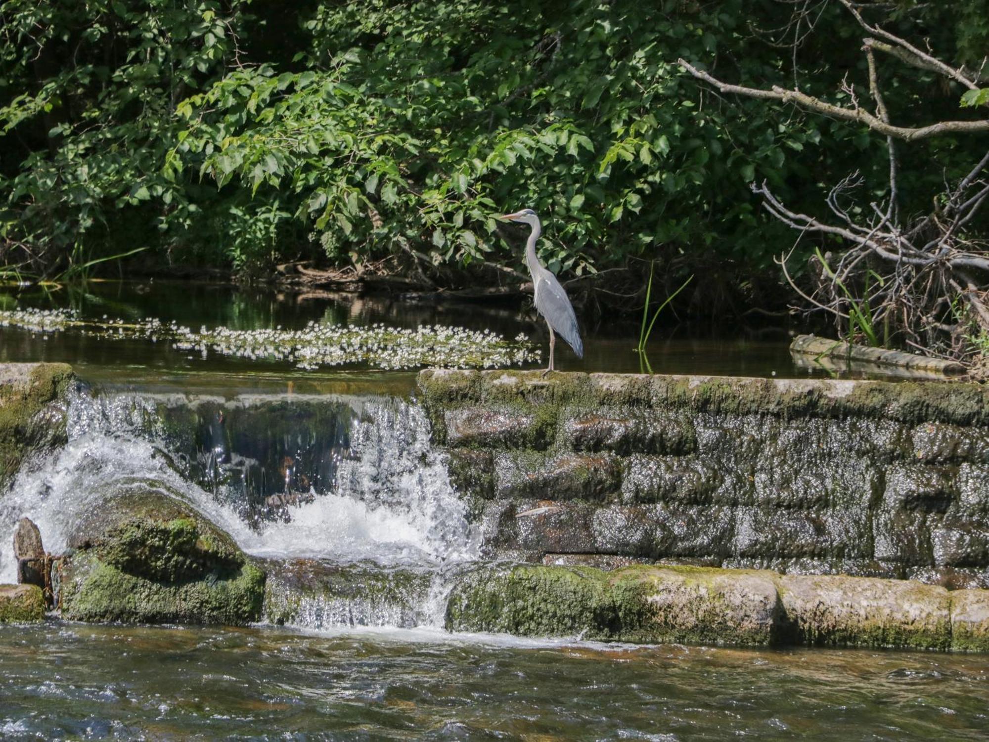 21 Eamont Park Villa Penrith Dış mekan fotoğraf